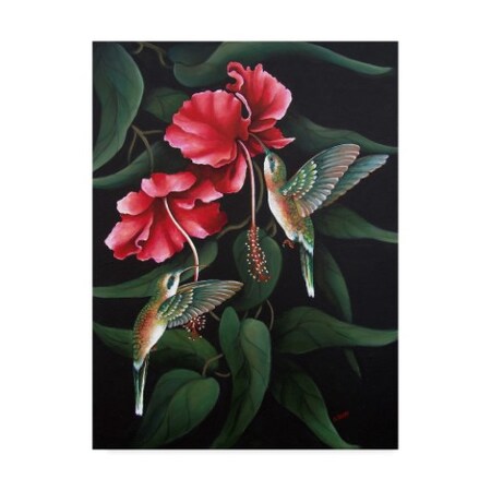 Carol J Rupp 'Hummingbird Duet' Canvas Art,24x32